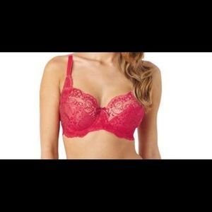 Panache Andorra bra in fuschia